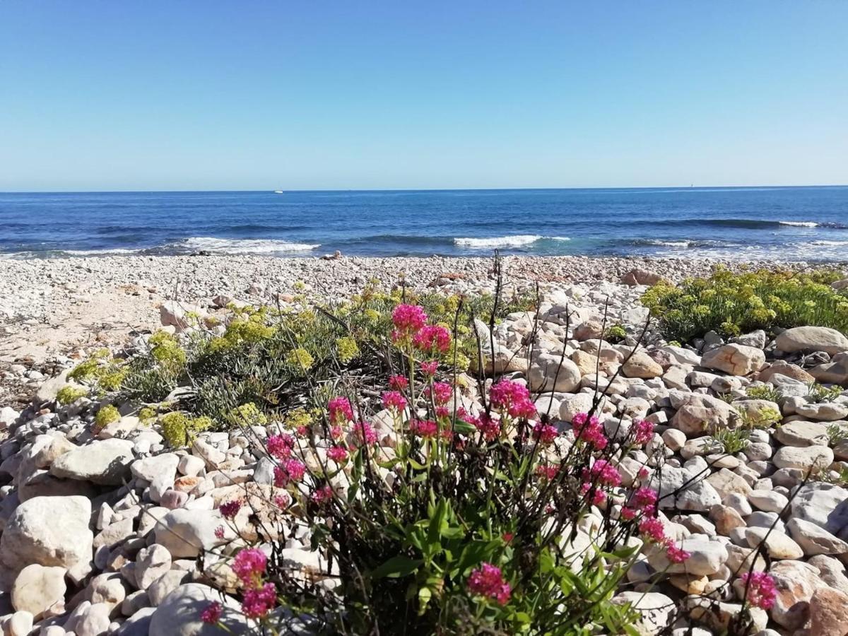 Denia Playa Montanas Y Mucho Mas Daire Dış mekan fotoğraf